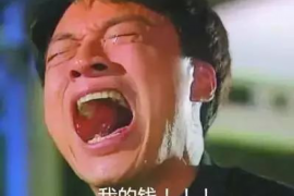 郁南融资清欠服务